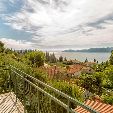 Blue Horizon Bird's Eye View *