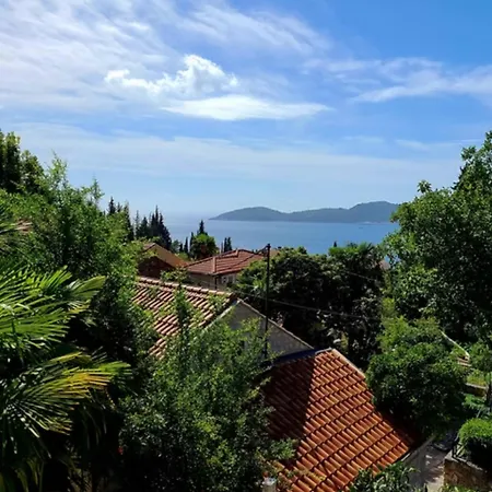 Blue Horizon Bird S Eye View Trsteno